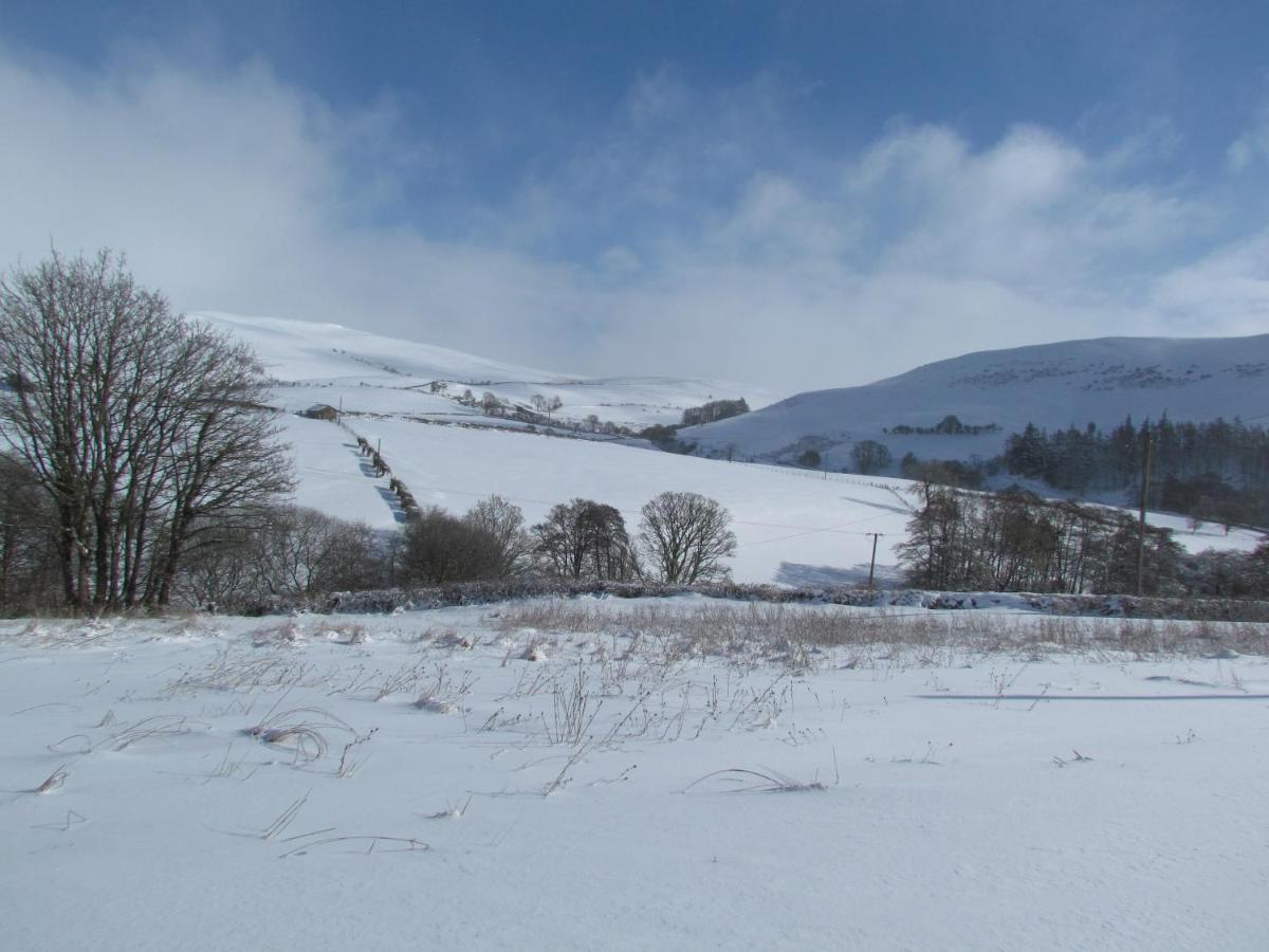 Wild Valley Bunkhouse Llanrhaeadr-ym-Mochnant Exterior foto